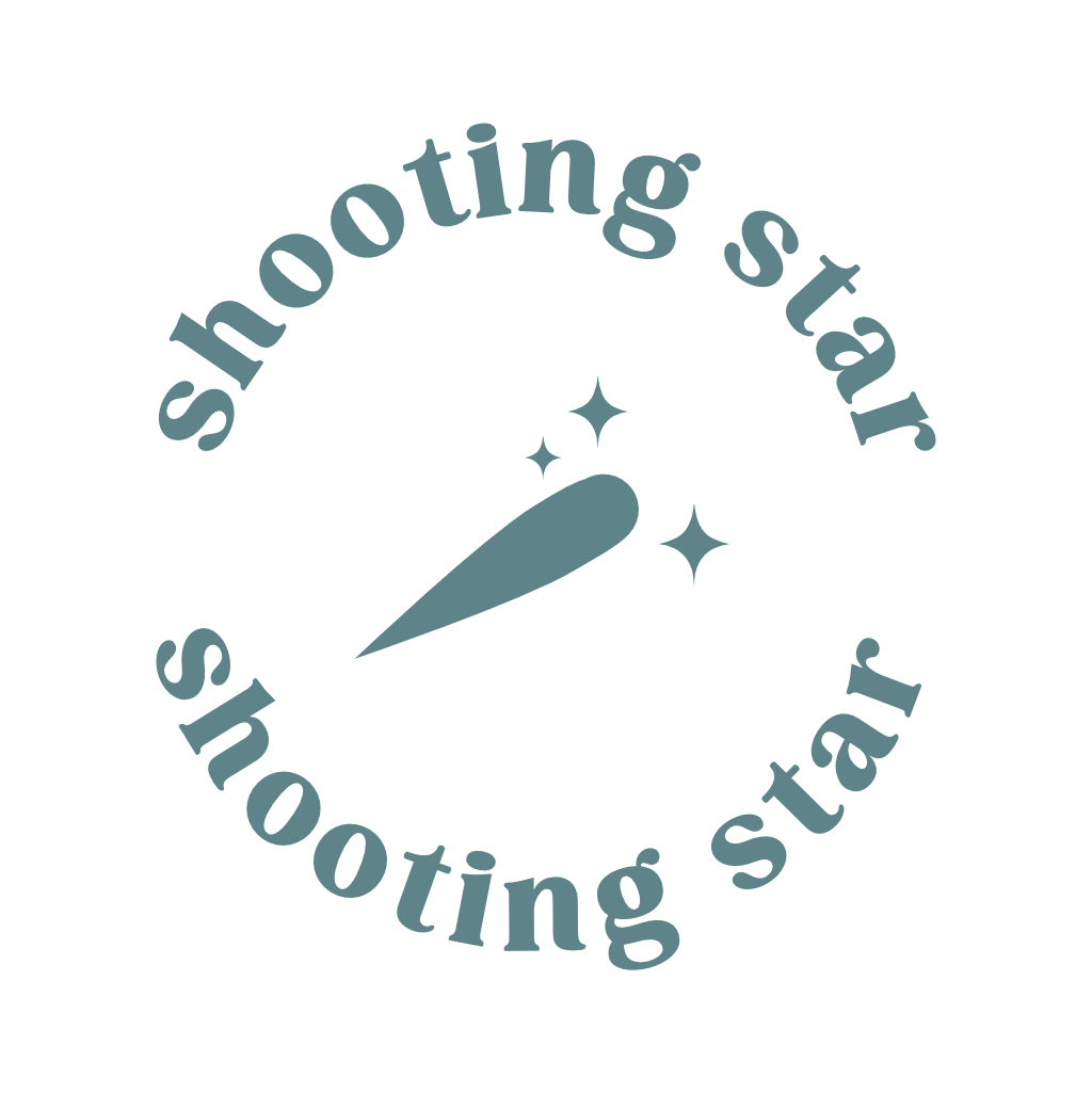 Logo Shooting Star